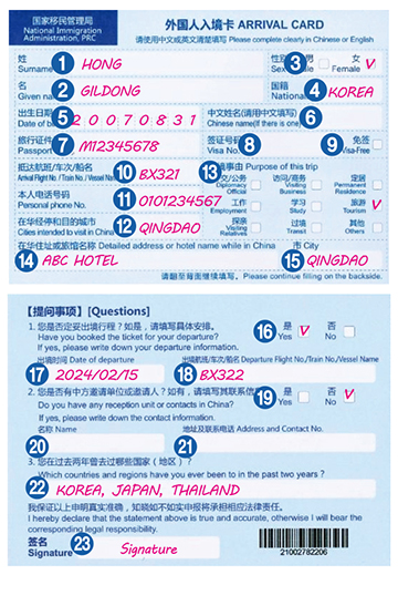 Sample China Immigration Form