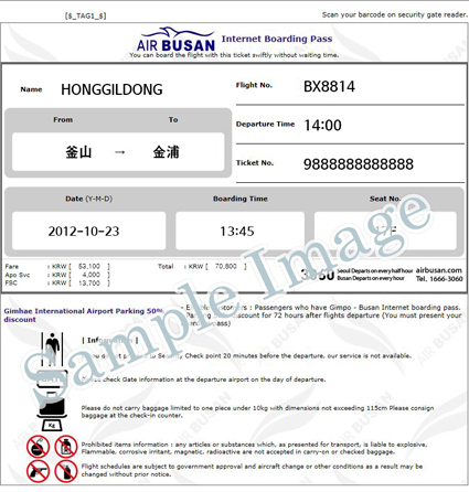 インターネット搭乗券