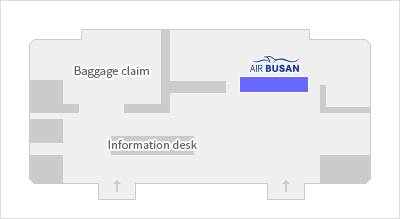 air busan baggage